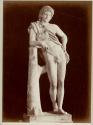 The Faun