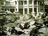 Umbrellas, Long Beach, California