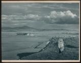 [View of buildings in distance]