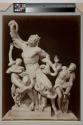 Rome. Vatican Museum. Laocoon and his sons Athanadoros, Hagesandros, and Polydoros