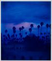 Arlington Heights, Los Angeles