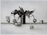 [Vase of tulips, solarized]