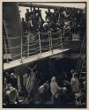 The Steerage