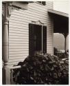 House and Grape Leaves