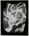 Photogram 2