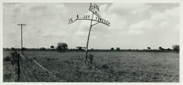 A Joy Forever, Roadside, Florida