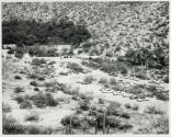 Baptism, Sabino Canyon