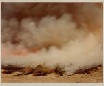 Desert Fire #42