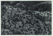 [Landscape]