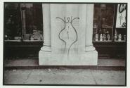 [Architecture with grafitti]