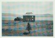 [House and trees]