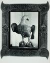 Wood Eagle Formerly Over the Gate of Old Fort Winnebago, Wisconsin, Carved by One of the Soldiers. “Tramp-Art” Frame Painted Gold