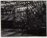 South Pacific Army Bivouac; series, "Baa-Baa Black Sheep"—Stage #6.