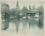 The Japanese Garden