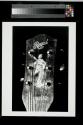 [Painted figure on head of guitar]