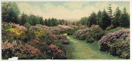 [Highland Park panorama]