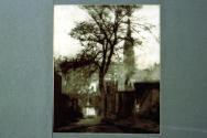 A Tree in Greyfriars Churchyard.