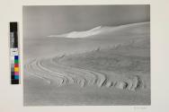 [White Sands]