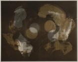 [Food photogram]