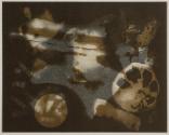 [Food photogram]