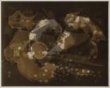 [Food photogram]