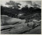 Hill Pasture, Sonoma County, California