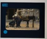 [Man shoeing a horse in China]