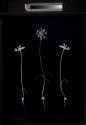 Wild Onion