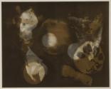 [Food photogram]