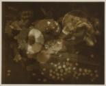 [Food photogram]
