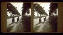 [Will Connell and Wallace Clendenen's Harley motorcycles on road, California]