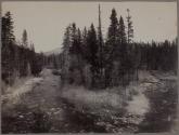 [Merced River, Yosemite, California]