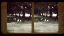 [Griffith Park, dirt path after rain]