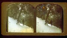 [Landscape in snow, mountains in California]