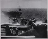 Nip Carriers on the Prowl