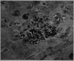 Marines Take Shelter on Iwo Jima