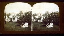 Pleasant Day In Shaw's Gardens, St. Louis, U. S. A.