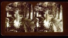 Glimpses of Gardens Sans Souci, Potsdam