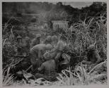 MARINE MORTAR IN ACTION OF SAIPAN