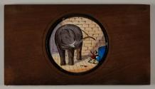 [cat and elephant]