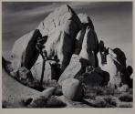 In Joshua Tree National Monument, California