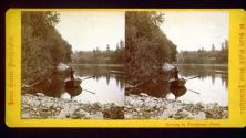 From the mouth of the Wissahicken