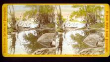 River Scene, Upper East Park