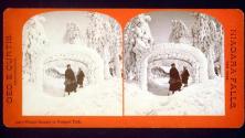 Winter Scenery in Prospect Park