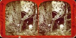 Passaic Falls & Vicinity - Stairway to the Valley of the Rocks.