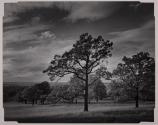 [The Genesee Country-a view of the Genesee Valley north of Geneseo]