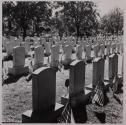 [Military Gravestones, Mt. Hope Cemetery]