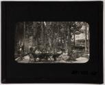 George Eastman and companions dining in camp, High Sierras Trip