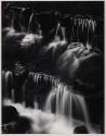 Fern Spring, Dusk, Yosemite National Park