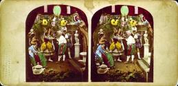 [Celebration]